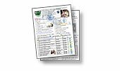 Information Technology Careers